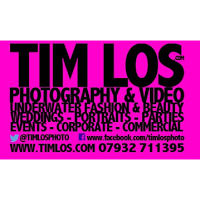 Tim Los Photography 1094033 Image 8